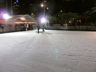 Winter Garden